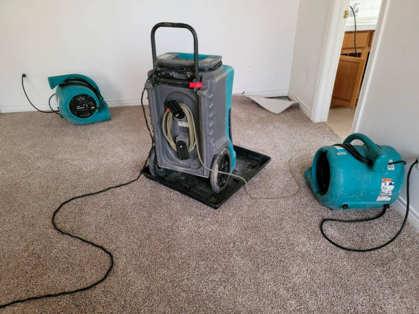 Best Water damage contractors near me  in Hopewell, VA
