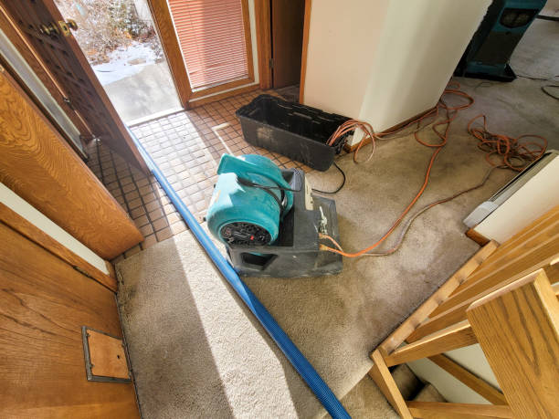 Water damage restoration experts in Hopewell, VA