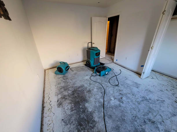 Best Flood damage cleanup  in Hopewell, VA