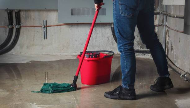 Best Ceiling water damage repair  in Hopewell, VA