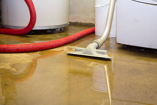Best Basement water damage restoration  in Hopewell, VA