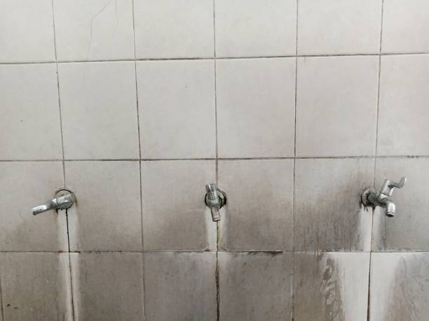 Reliable Hopewell, VA Water damage restoration Solutions