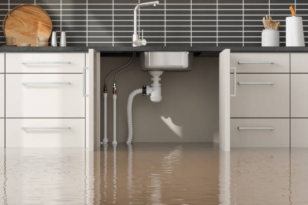 Best Flood restoration services  in Hopewell, VA