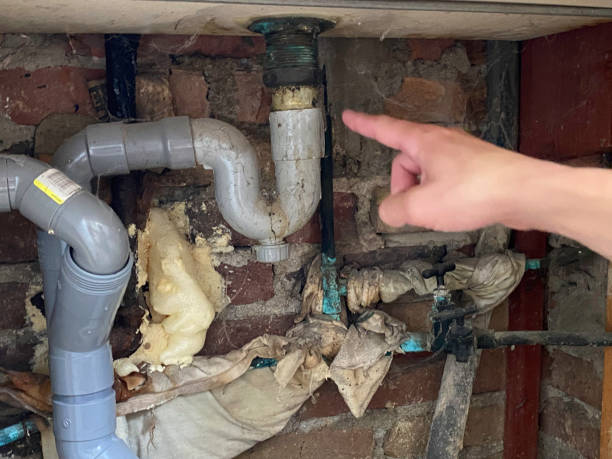 Best Flood restoration services  in Hopewell, VA