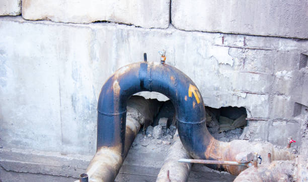 Best Carpet water damage restoration  in Hopewell, VA