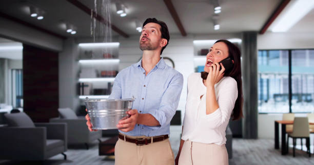 Best Professional water damage repair  in Hopewell, VA